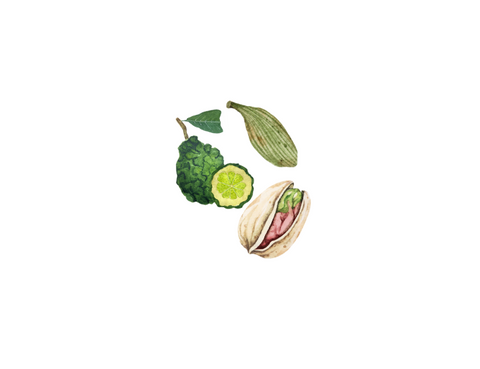 Pistachio, Cardamom, and Bergamot