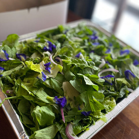Four Herb Salad Family Platter