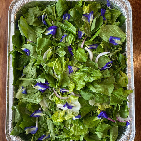 Four Herb Salad Family Platter