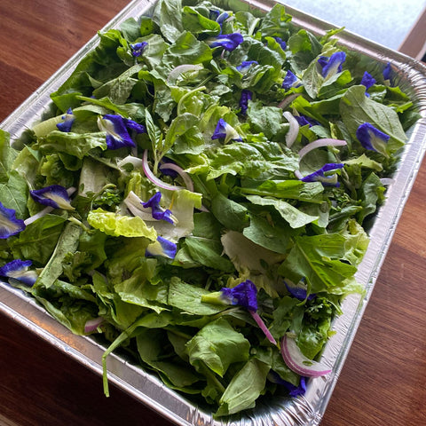 Four Herb Salad Family Platter